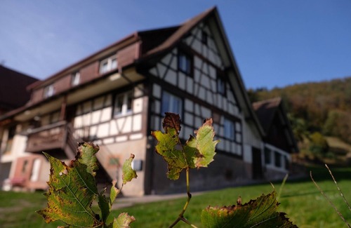 Ohlsbach Apartamento | Vacation apartment Winzerstube