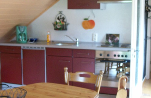 Piesport Apartamento | Vacation apartment with wonderful view of the Moselle, quiet location, garden, parking, wifi