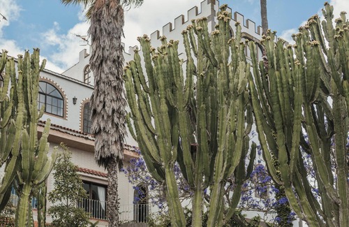 Los Portales Apartamento | Vacation 'Bastion Del Drago - 4' with Mountain View, Shared Terrace and Wi-Fi