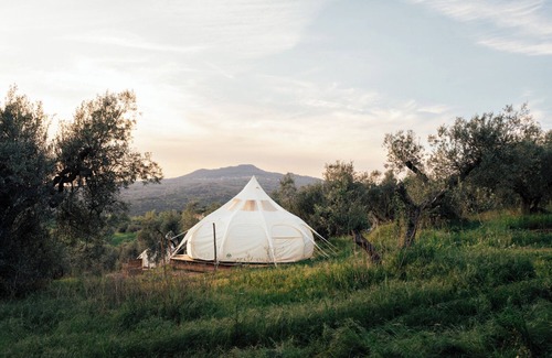 Roccastrada Casa | Vacation close to nature in fully equipped tents in the olive grove in Tuscany
