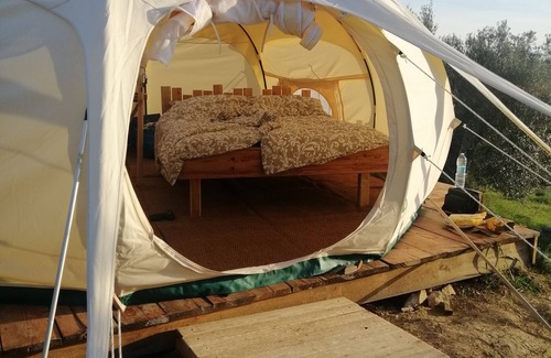 Roccastrada Casa | Vacation close to nature in fully equipped tents in the olive grove in Tuscany