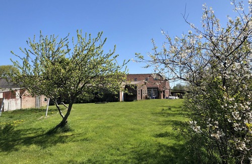 Stedesdorf Apartamento | Apartamento (85 + 115 m²) para un máximo de 6 (2) Pers. Descanse en Granja 2 + 3 dormitorios
