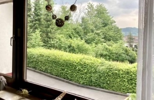 Langscheid Casa | Vrbo Property