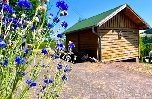 Hallschlag Casa | Vacation home Caroline