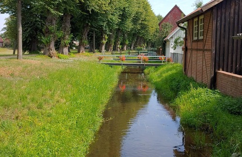Boizenburg Casa | Vacation home for 6 guests with 123m² in Boizenburg/Elbe (148779)