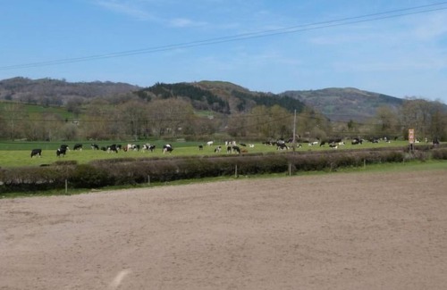 Meifod Casa | Casa de vacaciones Bwthyn Bach en Newtown - Welshpool - 2 personas, 1 dormitorios