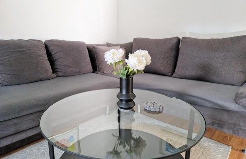 Borovo Apartamento | Vacation home Ivana