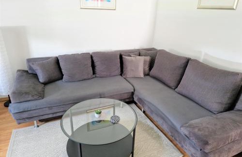 Borovo Apartamento | Vacation home Ivana