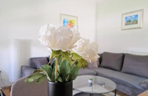 Borovo Apartamento | Vacation home Ivana
