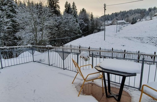 Blasiwald Apartamento | Vacation with dog away from the forest near Schluchsee