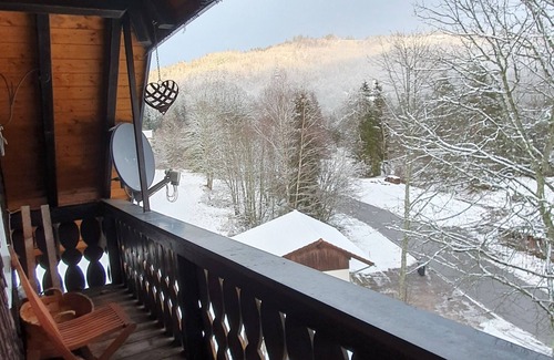 Blasiwald Apartamento | Vacation with dog away from the forest near Schluchsee