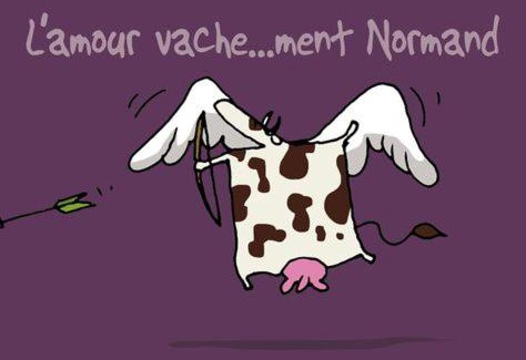Saint-Nicolas-de-la-Haie Casa | Vachement bien !