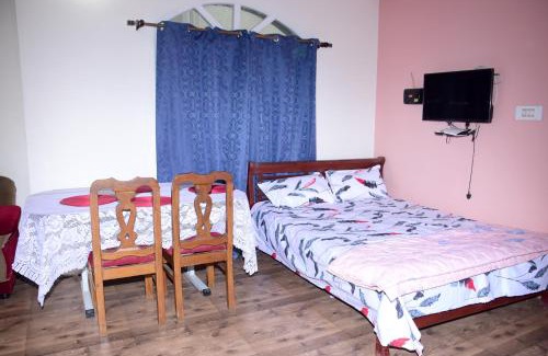 Balangir Apartamento | Vadakkadathu Villa homestay