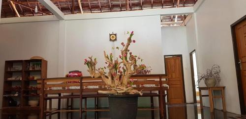Nuhu Roa Casa | Vakantie Vila Wab