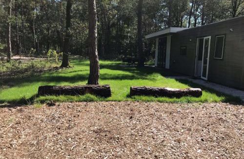 Municipality of Hellendoorn Complejo | Vakantie woning "Huisje Boszicht"