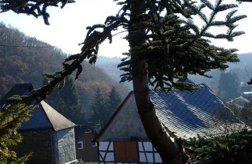 Leisel Casa | vakantiehuis Hunsrück