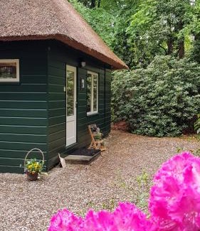 Epe Casa | Vakantiehuis 't Musje