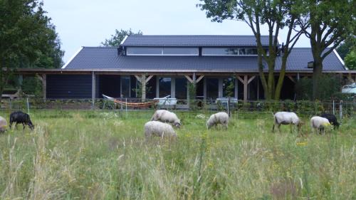 Municipality of Haaren Apartamento | Vakantiehuis Weideblik
