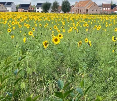 Zonnebeke Casa | vakantiewoning Het Boomkwekerijhuis