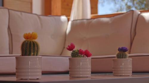 Kolan Otro | Val Lodge Šimuni