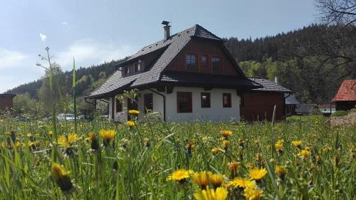 Velke Karlovice Casa | Valachy chalupa Velké Karlovice