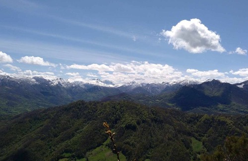 Vigidel Apartamento | Apartamentos Valdecarzana . Braña Vigidel Senda del Oso