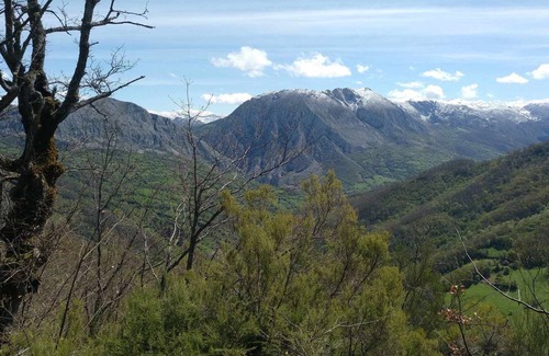 Vigidel Apartamento | Apartamentos Valdecarzana . Braña Vigidel Senda del Oso