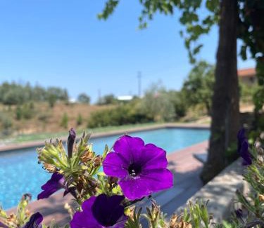 Penacova Casa | Vale das Maias - Casa de Campo