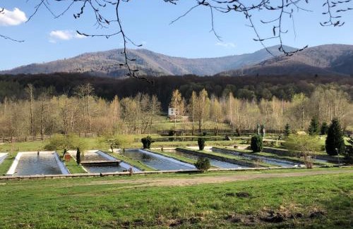 Sinca Veche Complejo | Valea Salbatica