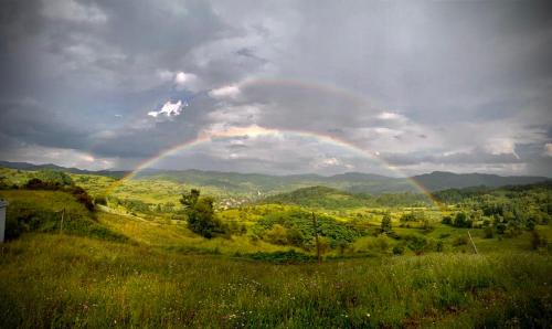 Viseu de Sus Apartamento | Valea Vinului Suite