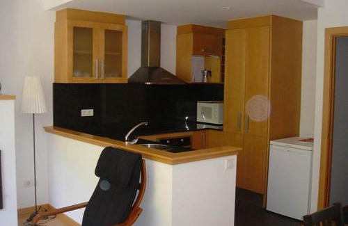 Alt Aneu Apartamento | Valencia de Aneu TP