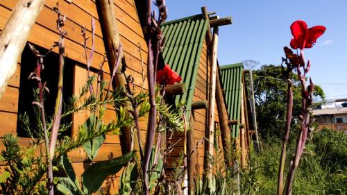 Mariscal Otro | Valhalla Glamping House