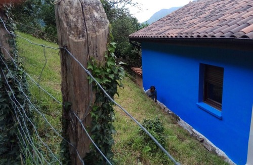 Barzana Casa | VALLE DEL OSO Casa el mirador de Faedo