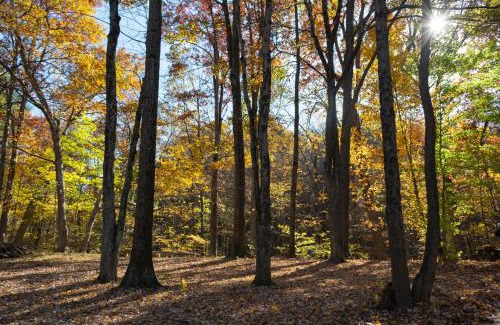 Cuyahoga Falls Otro | Valley Overlook