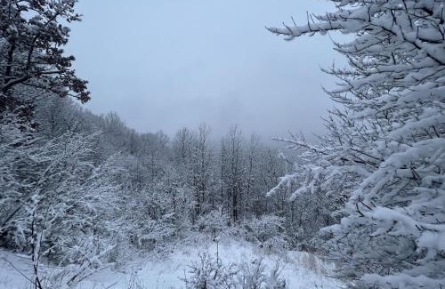 Cuyahoga Falls Otro | Valley Overlook