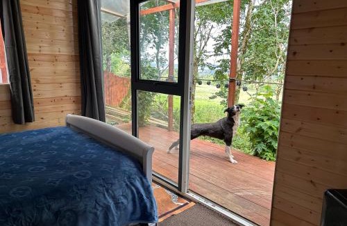Ahascragh Otro | Valley view cabin in the woods on a farm