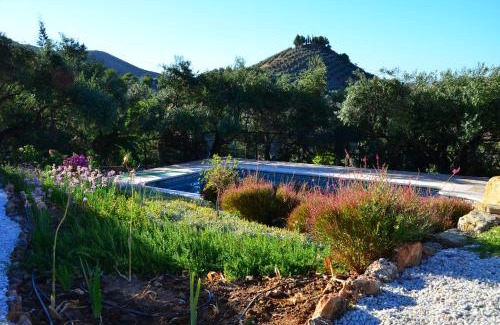 El Chorro Casa | Valley View