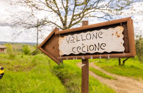 Greve in Chianti Casa | Vallone di Cecione