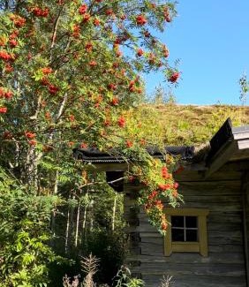 Saarijarvi Chalet De Esquí | Valonranta Cottage