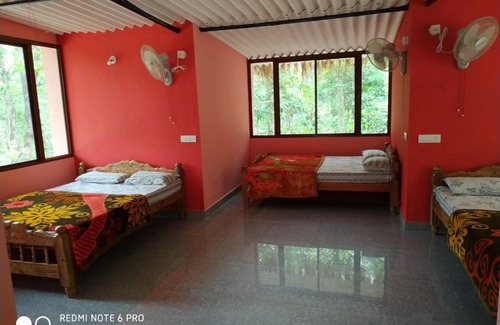 Vastare Casa | Vamoose Forest