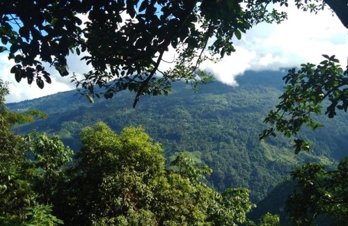 Kurseong Casa | Vamoose Poomong