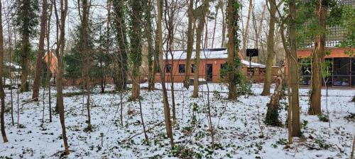 Tremelo Apartamento | Van Horick