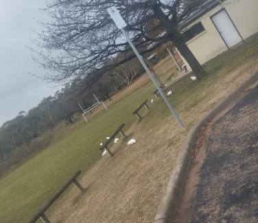 Jindabyne Otro | Van near Jindy - Thredbo and ski areas
