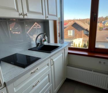 Palanga Apartamento | Vanagupe Private Apartment