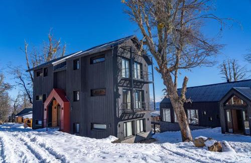 Lanin National Park Apartamento | Vandor