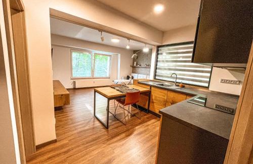 Vlasim Apartamento | Vantisch Apartment
