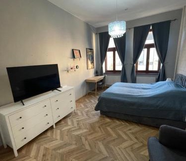 Kosice Old Town Apartamento | Varady's apartment with private parking