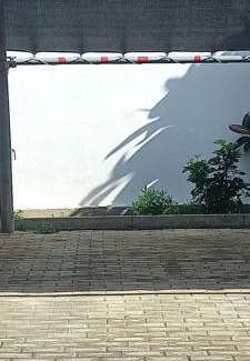 Markopoulon Apartamento | Vasi