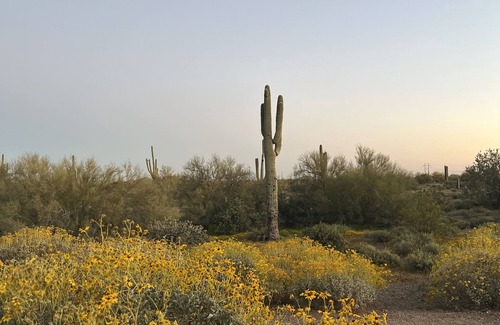 Apache Junction Casa | Vega 01: A spacious, 3-bedroom desert oasis stay, Vega #1