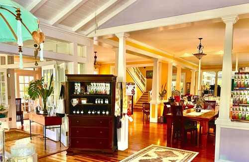 Hawi Cama Y Desayuno | Vegan Palace Suite @ Aloha Boutique Hotel / Alchohol-free, smoke-free